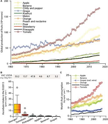 Vitamin C Content in Fruits: Biosynthesis and Regulation